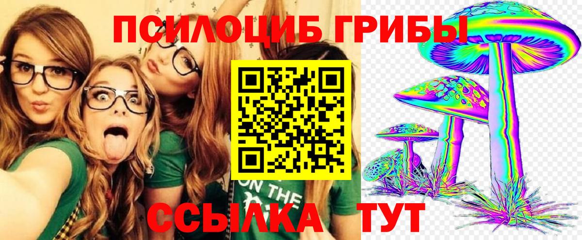 Псилоцибиновые грибы MAGIC MUSHROOMS  Вход с VPN  что такое   Алатырь 
