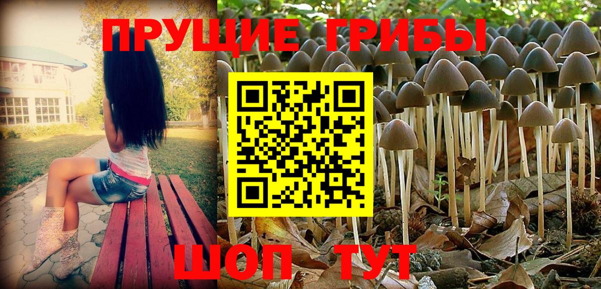 Галлюциногенные грибы мухоморы Алатырь